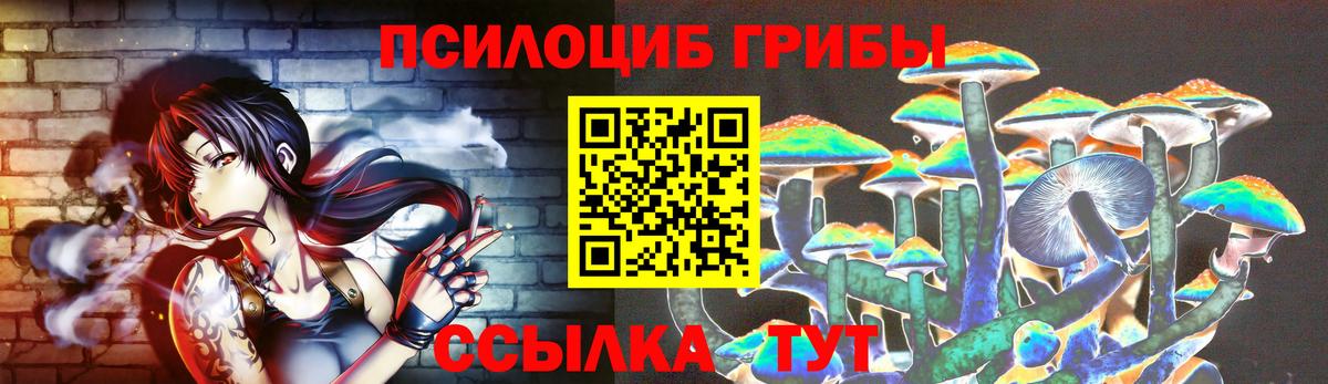 Пушкино  Галлюциногенные грибы прущие грибы  Вход с VPN  Галлюциногенные грибы Cubensis 